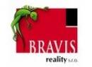 BRAVIS REALITY