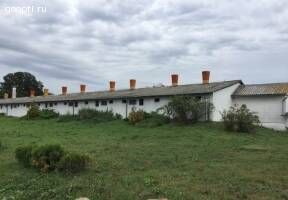 Венгрия. Свиноводческий комплекс